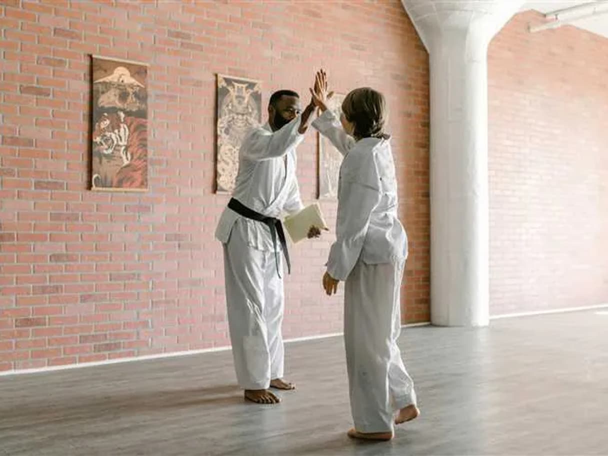 Dojo Sozo toolchain interface