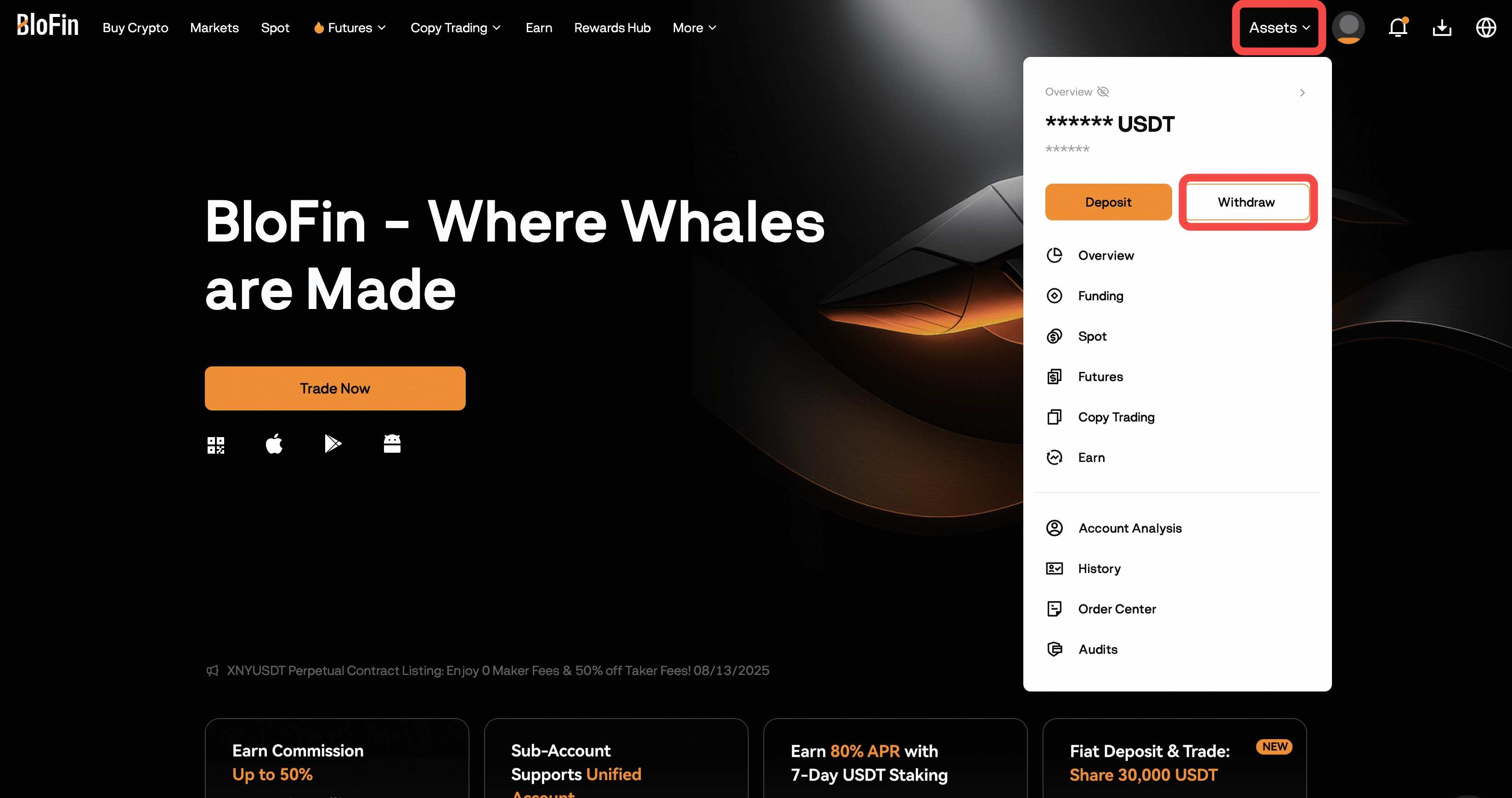 BloFin No-KYC Crypto Card design