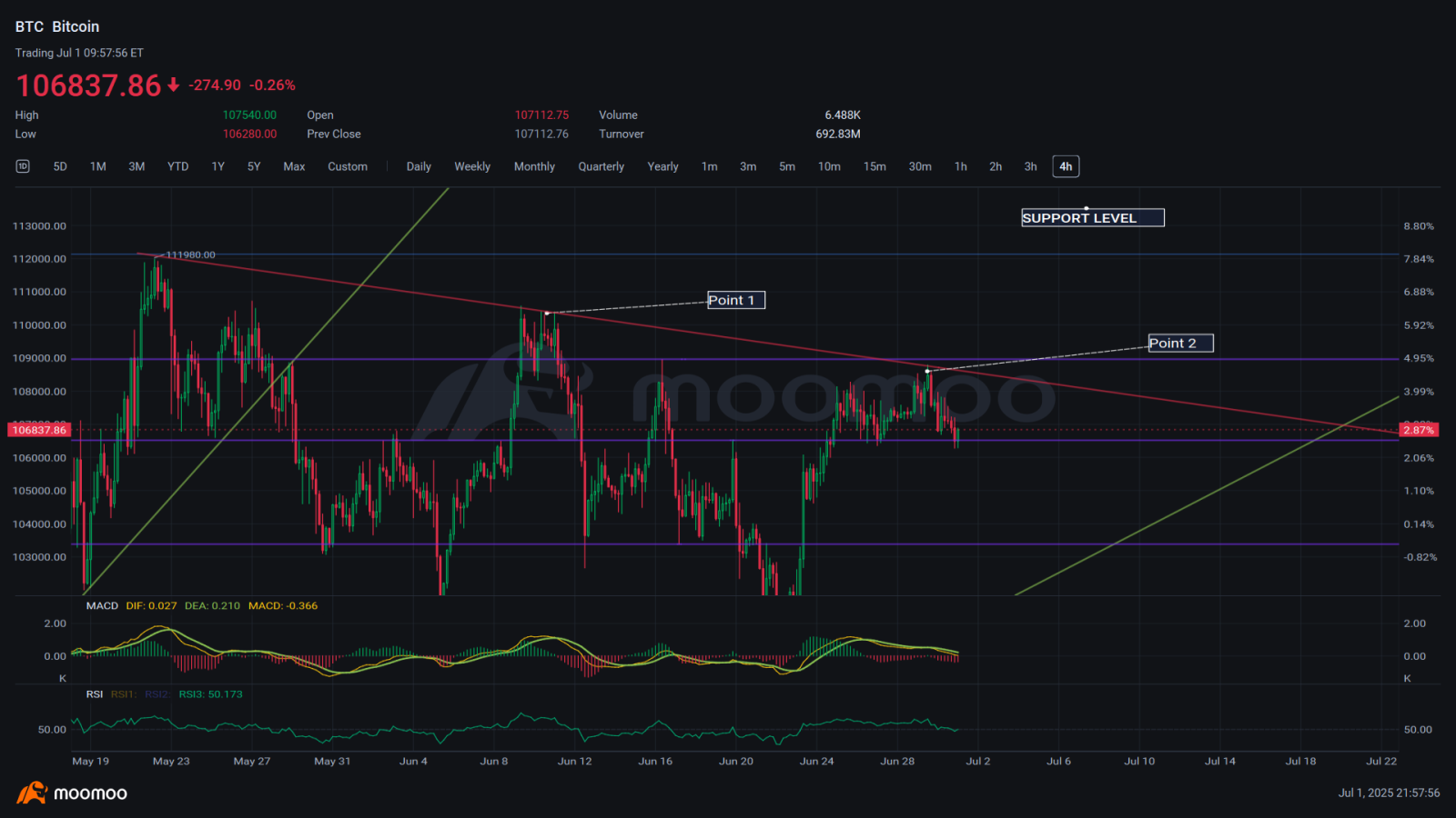 Bitcoin price chart July 2025