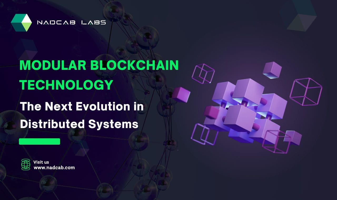 modular blockchain developer benefits