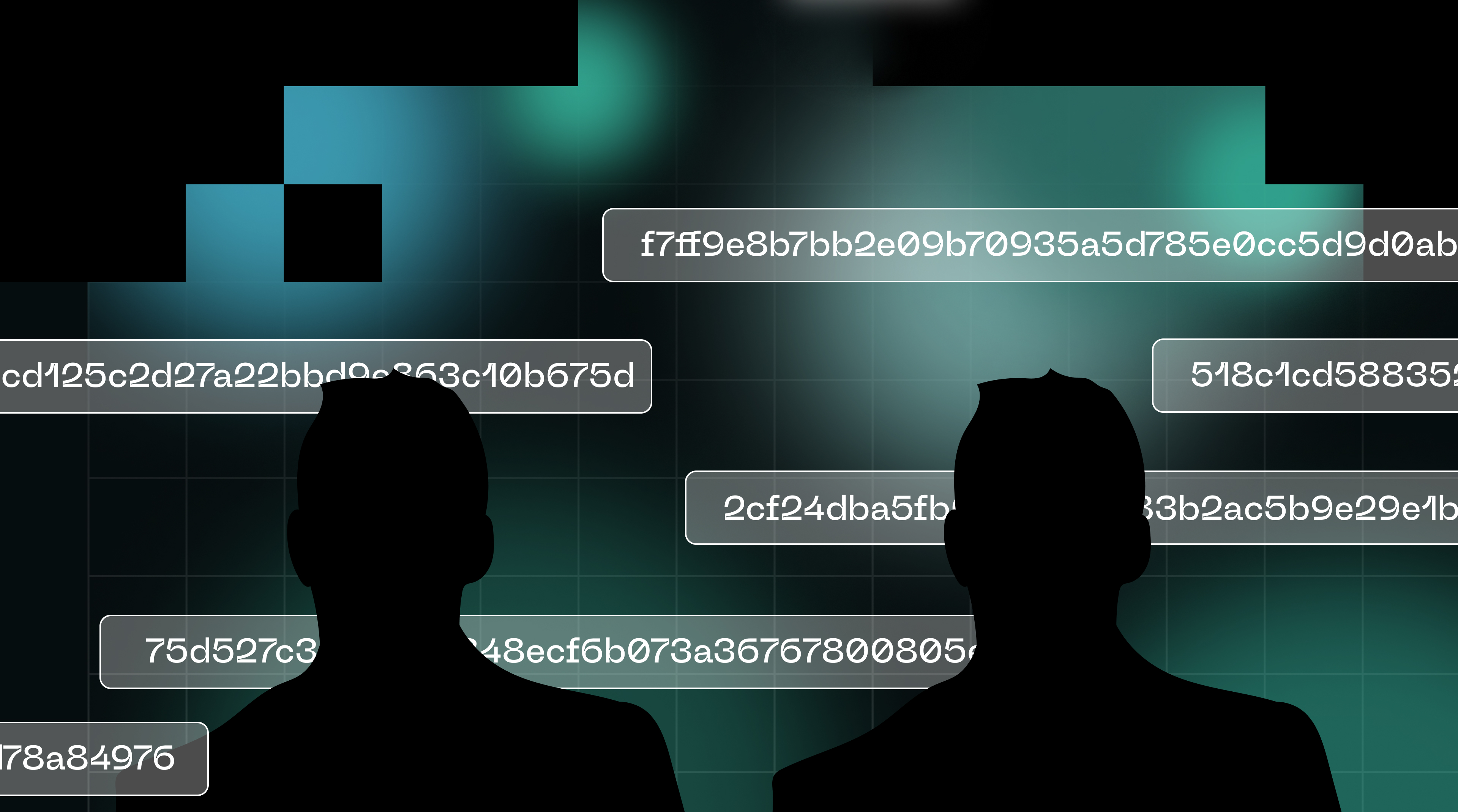 zero-knowledge proofs Bitcoin privacy