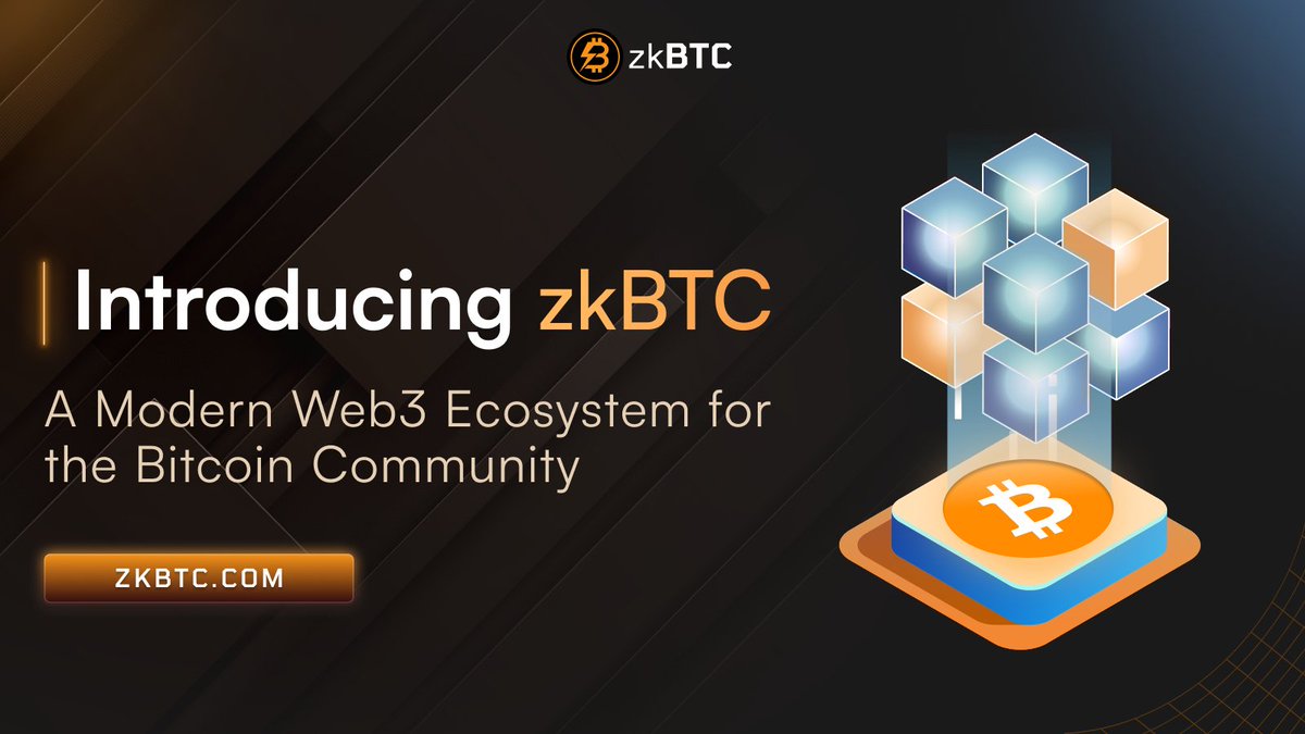 zkBTC project interface