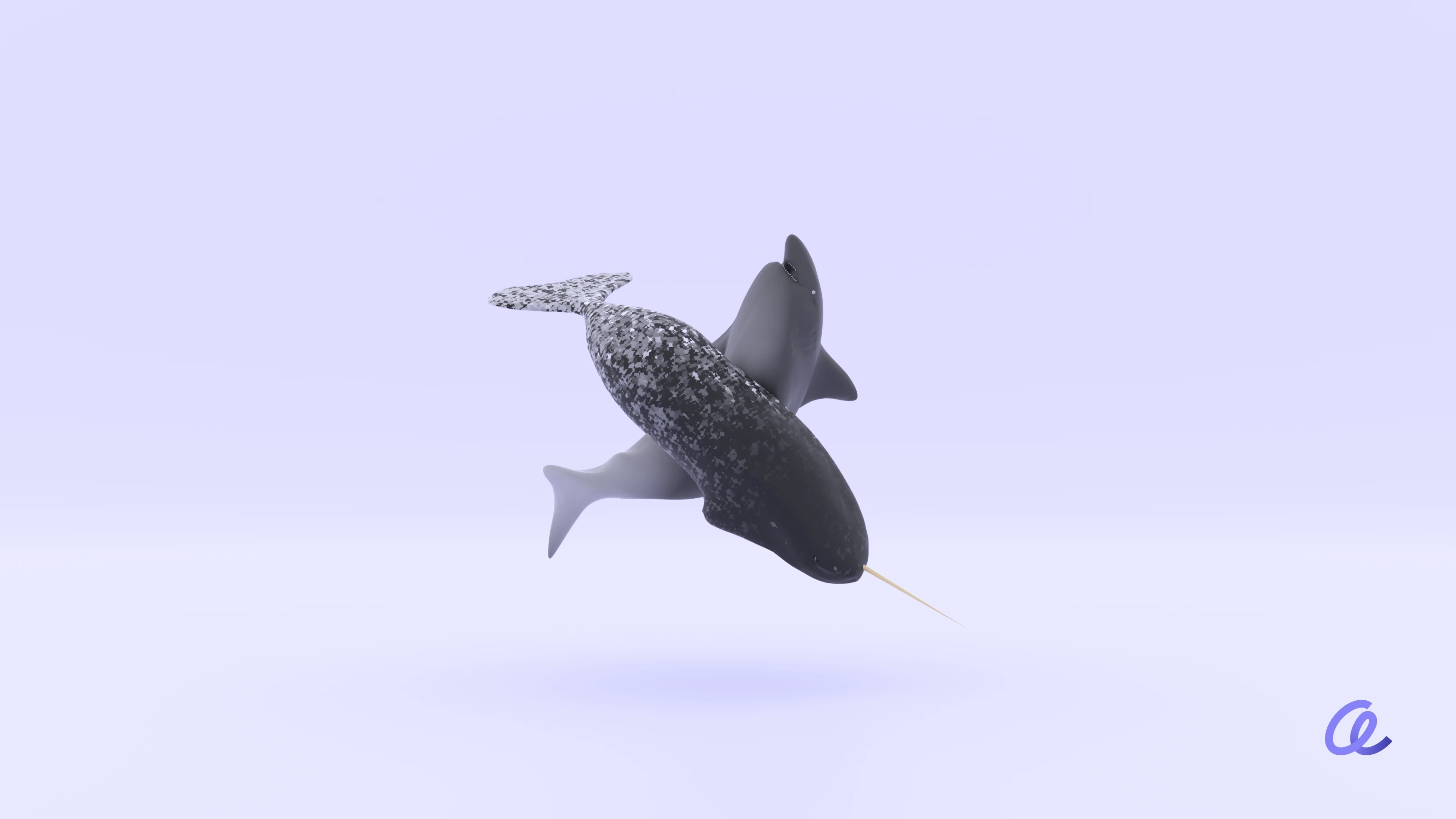 whale shark blocked by shield crypto
