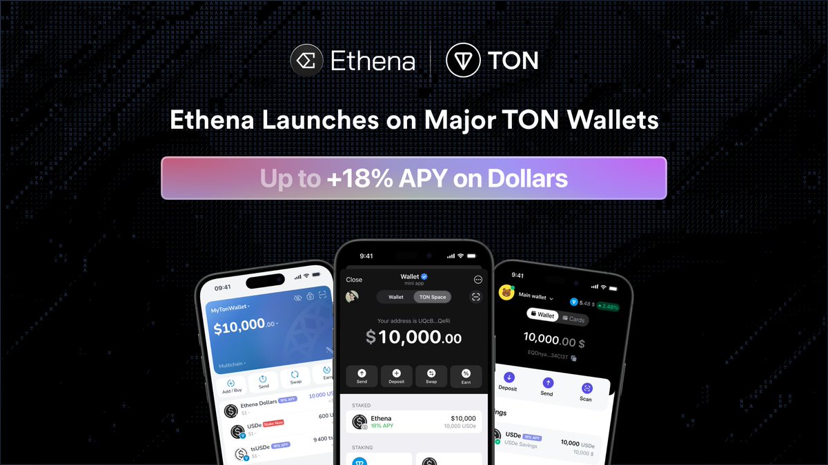 Stablechain USDT gas token interface