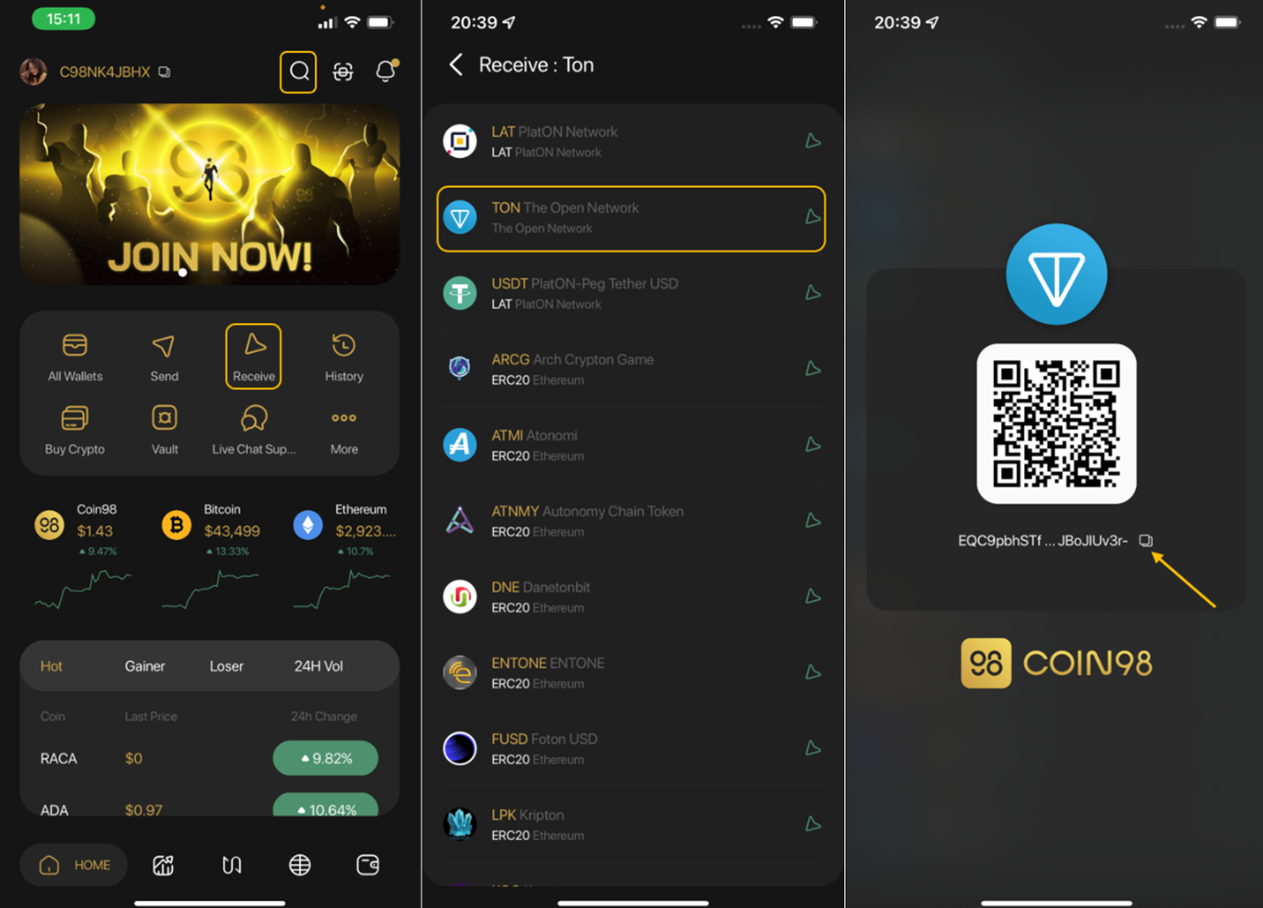 TON wallet app interface