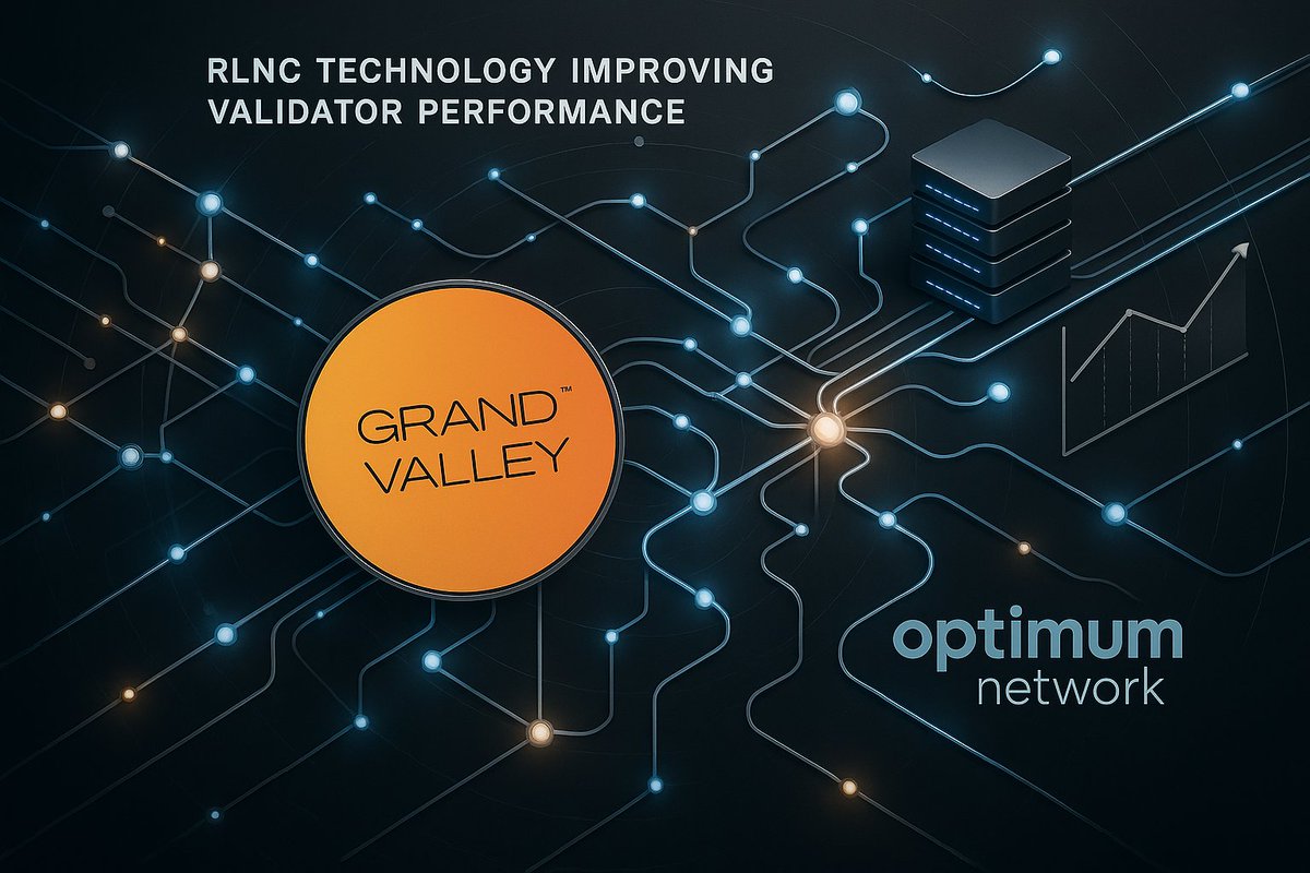 Random Linear Network Coding data availability blockchain