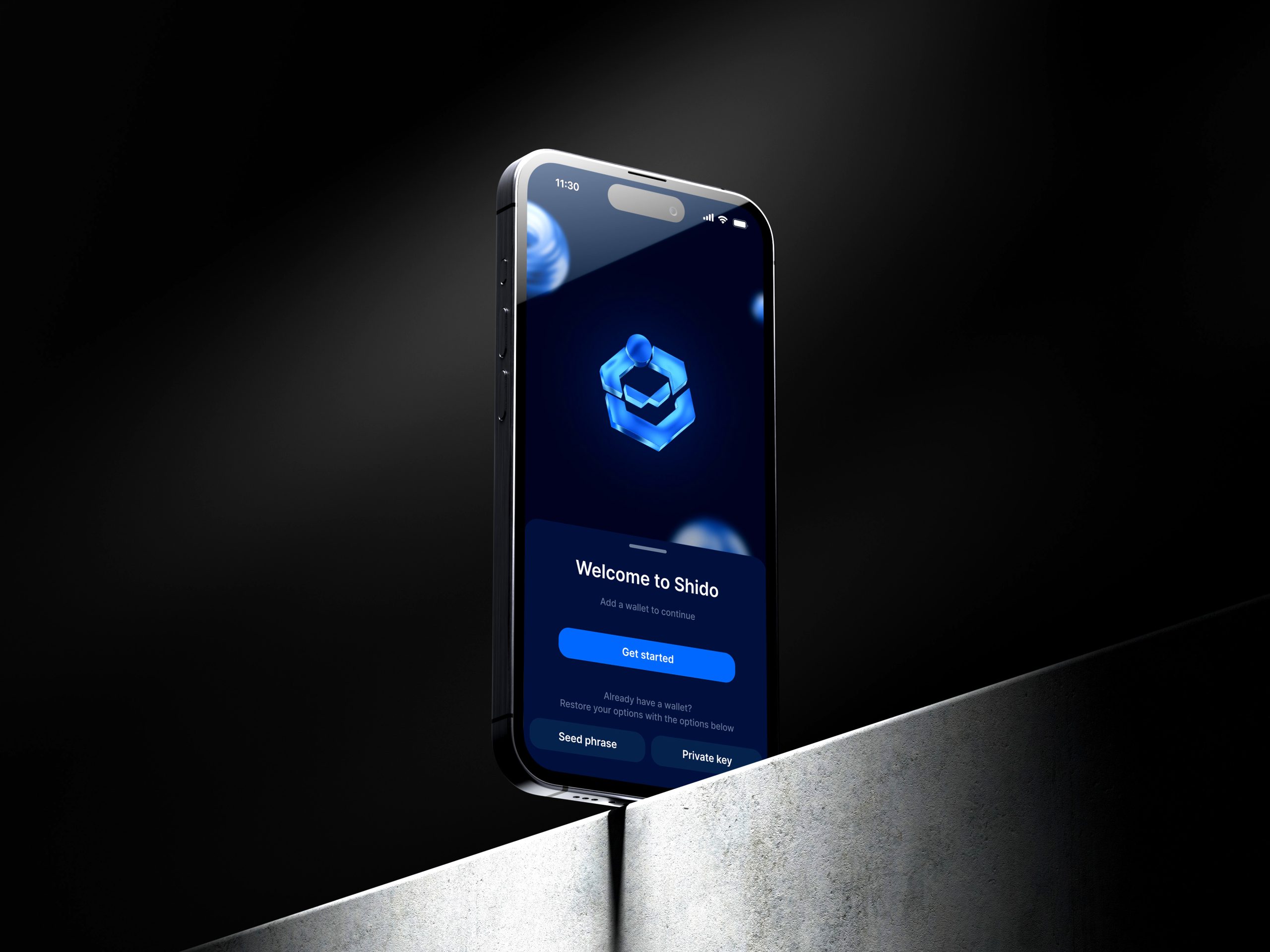 Shido chain abstraction