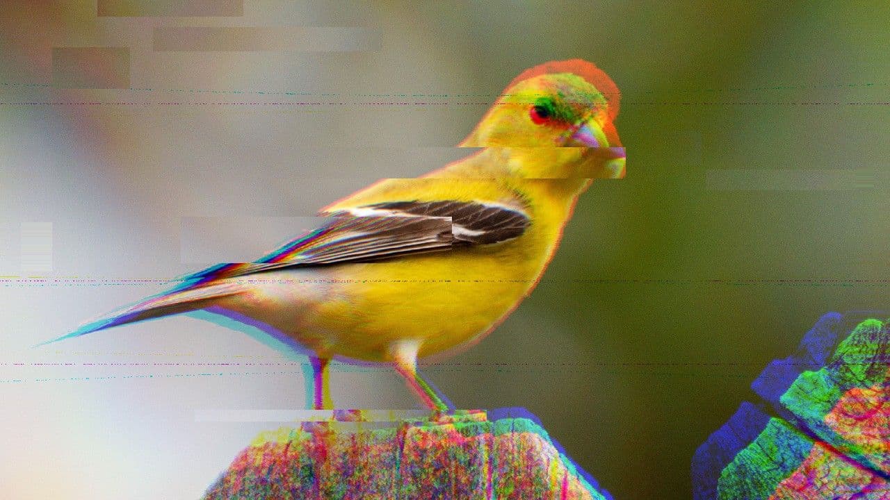 Goldfinch DeFi RWA yields