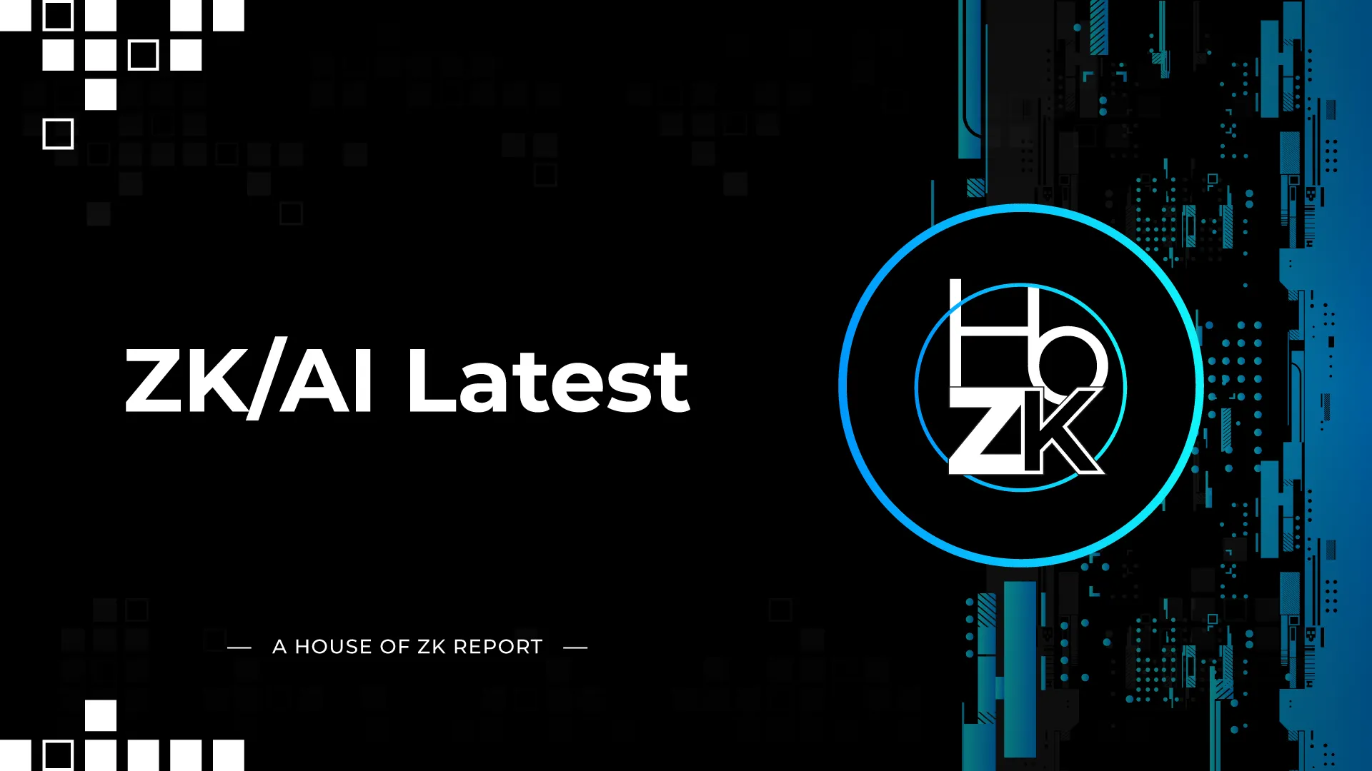 zkVerify AI ZK proofs platform