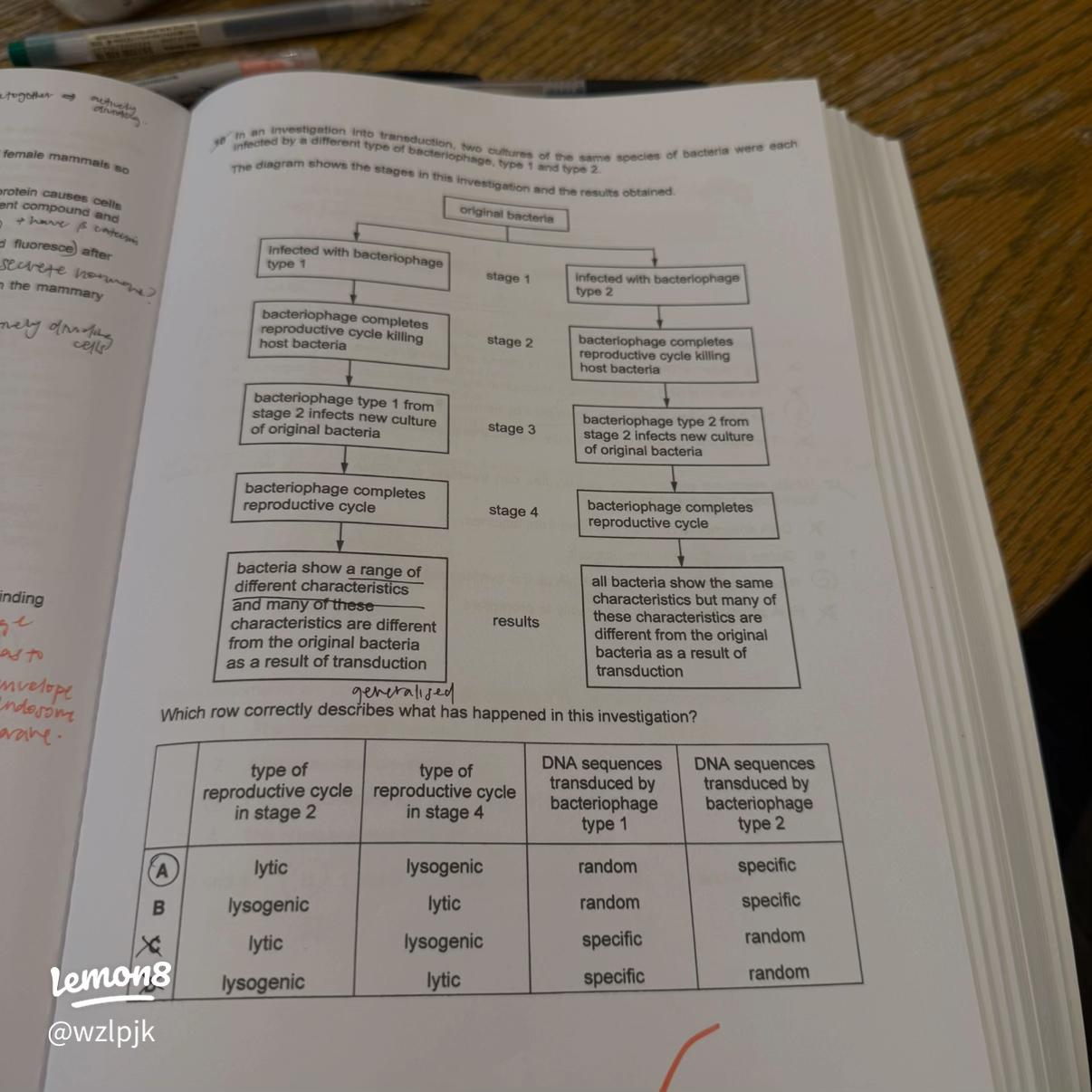 Mitosis dynamic AMM L3 volatility