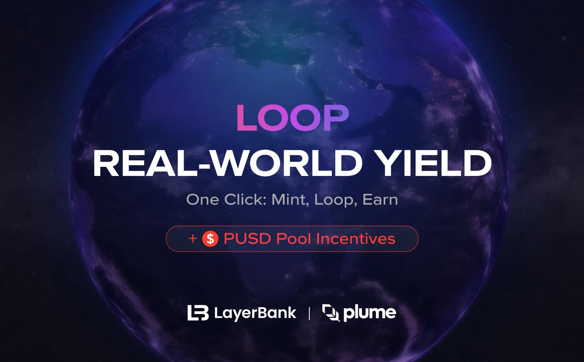 DeFi vaults with real-world asset integration