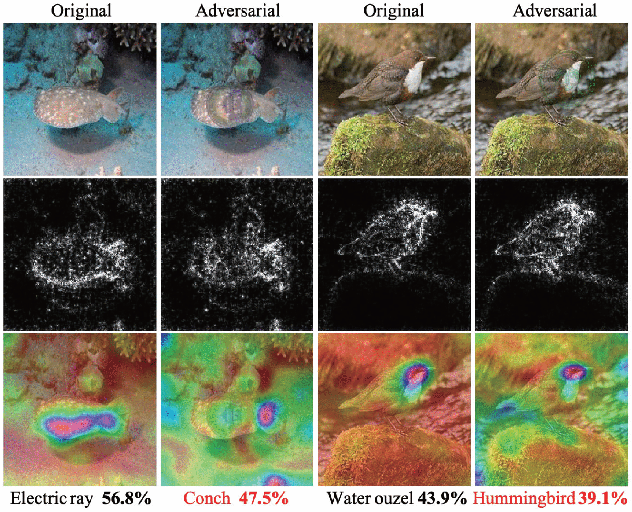 Adversarial Watermarks perturbation resistance diagram