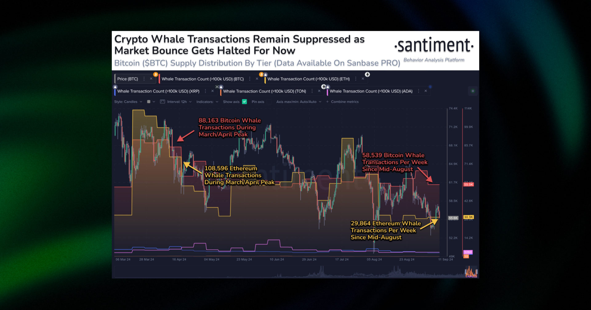 Bitcoin whale alert transaction graphic