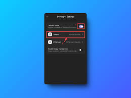 Solana Devnet Testnet interface
