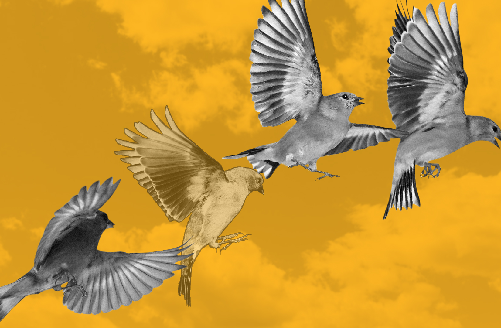 Goldfinch DeFi lending real-world borrower assessment