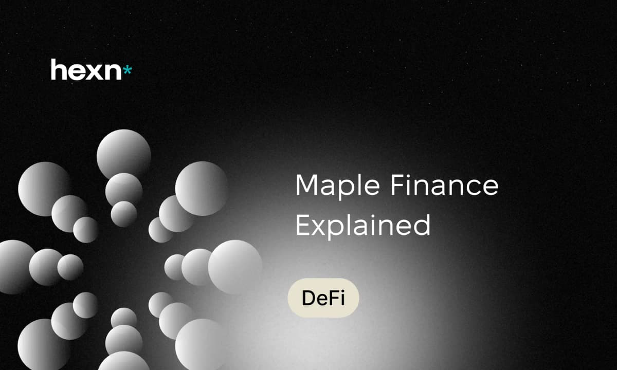 Maple Finance DeFi lending platform dashboard
