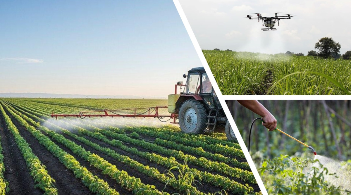 Fungi Agents Base gas-efficient yield farming