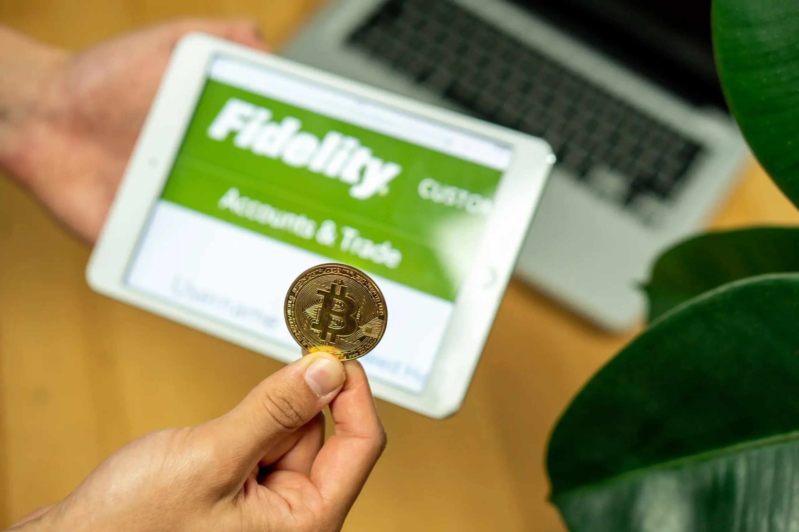 Fidelity Digital Interest Token management fee