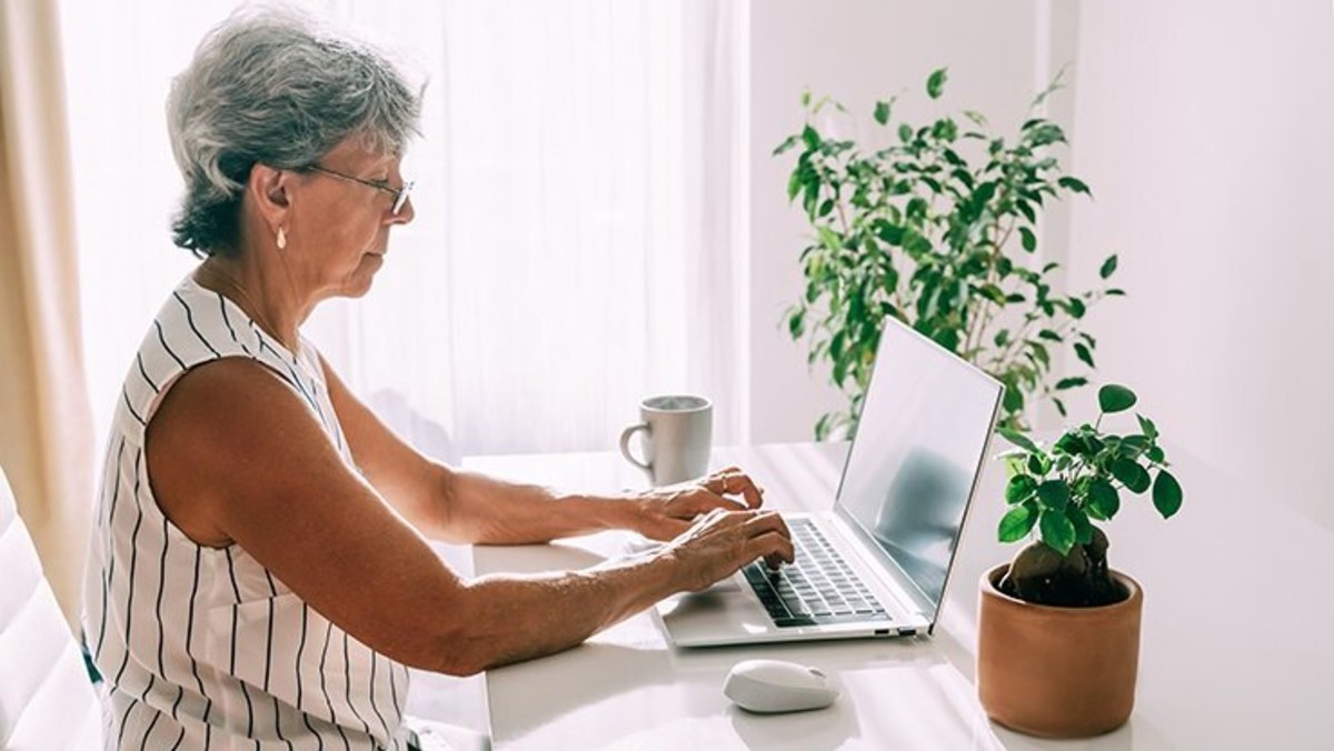 registered government money market fund portfolio