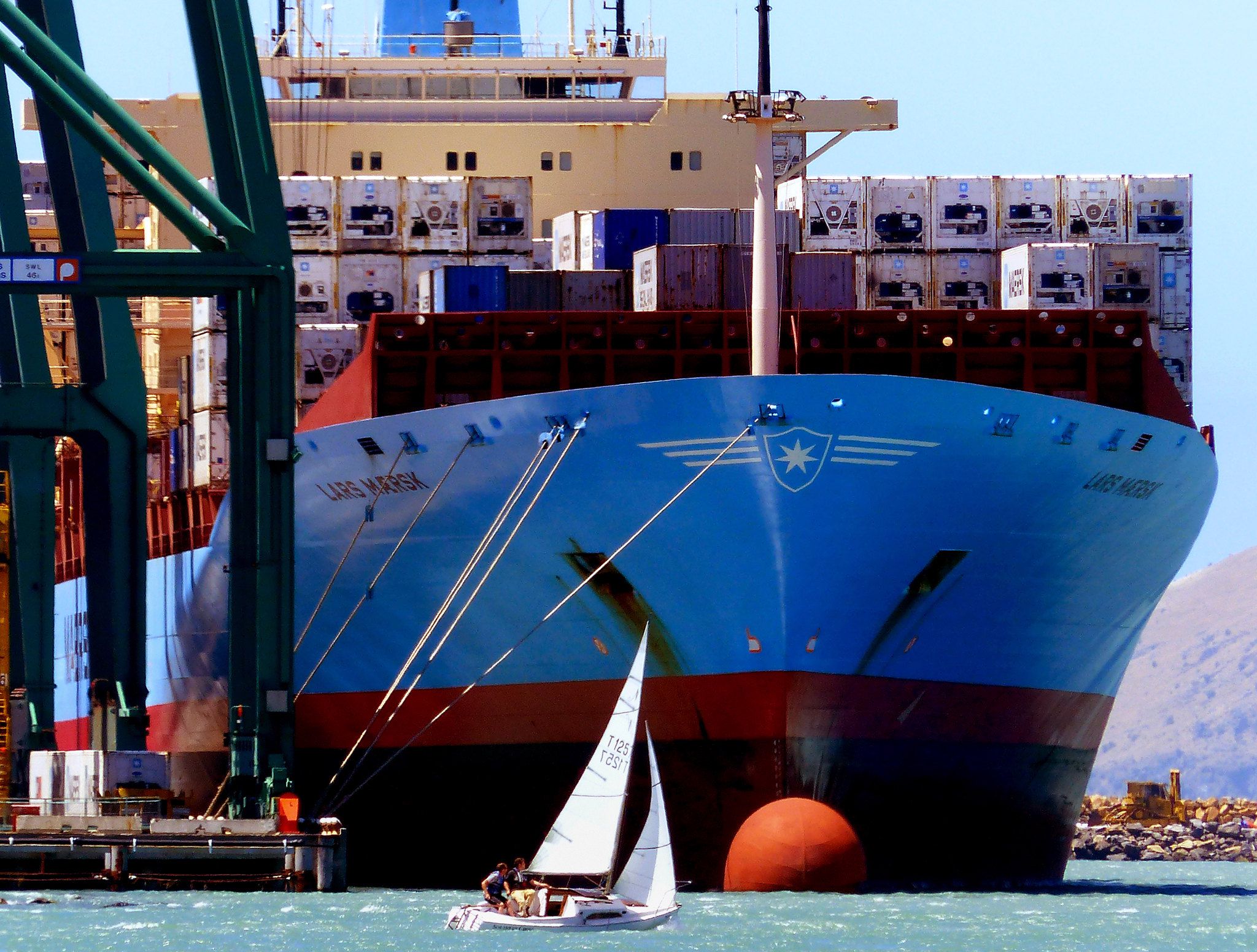 TradeLens failure decentralized logistics