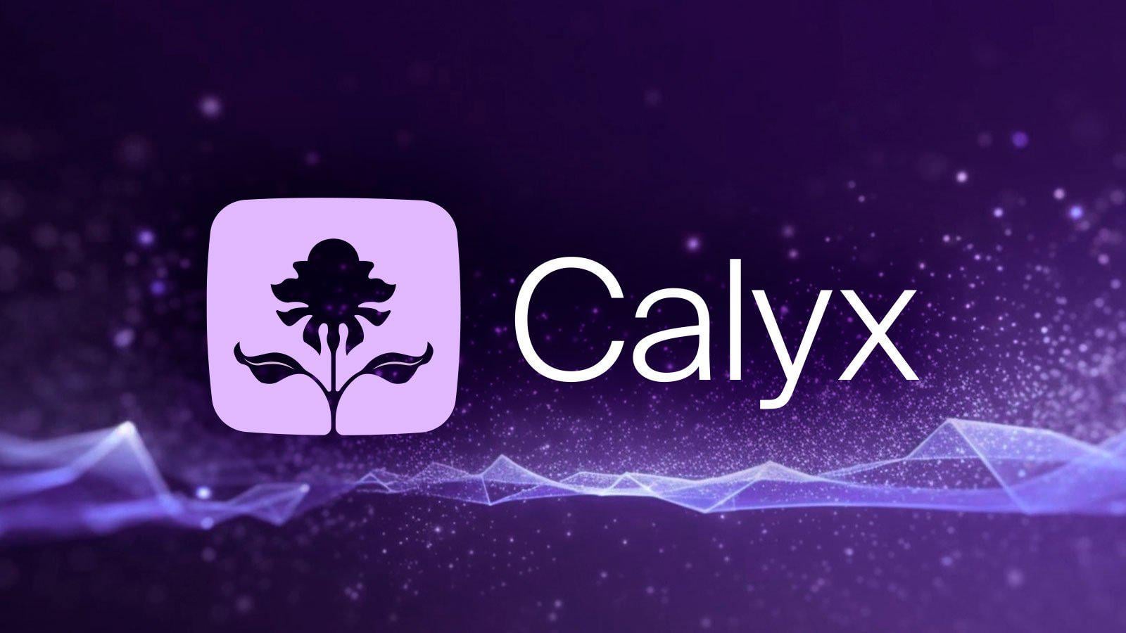 Calyx privacy-preserving rollup DeFi