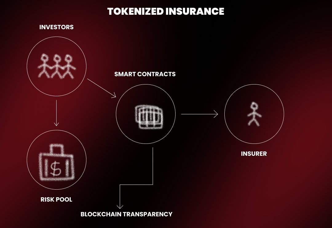 DeFi tokenized insurance liquidity