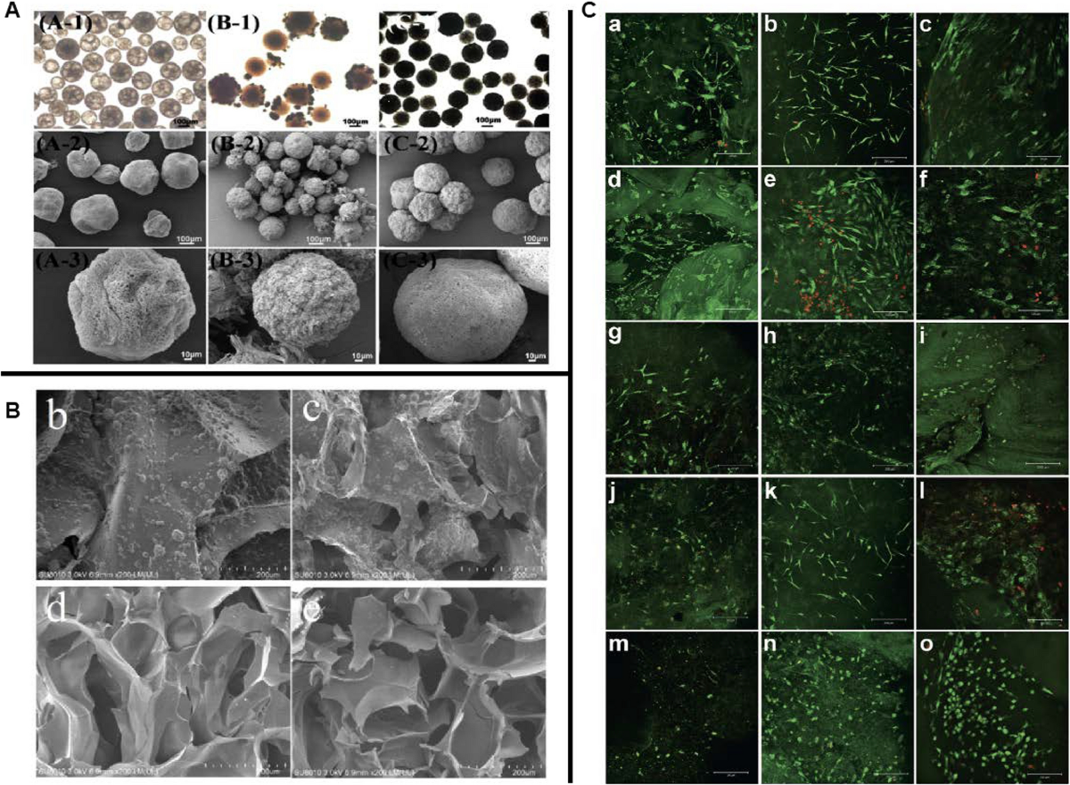 NanoToolKit Phi-3 Mini tool-use dataset