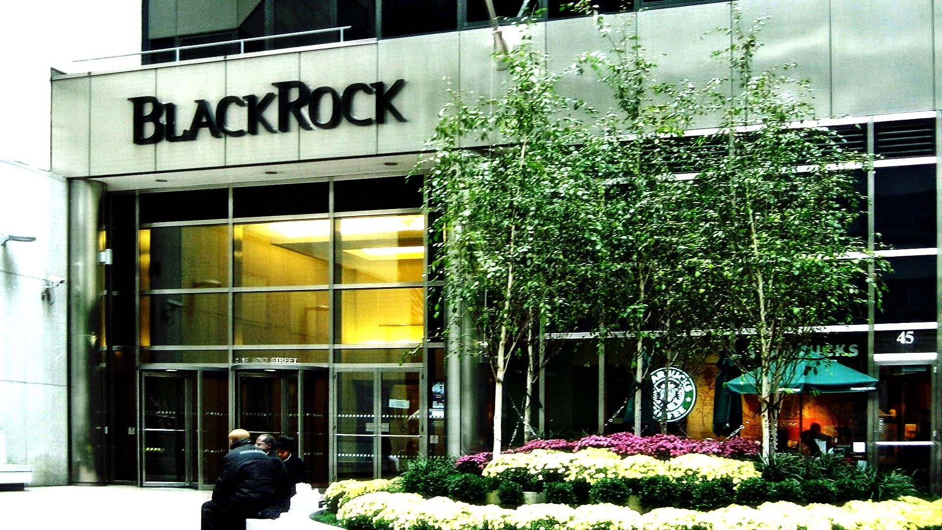 BlackRock BUIDL tokenized US Treasury stability