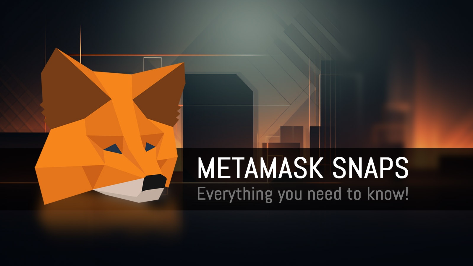 MetaMask Snaps customization and settings panel