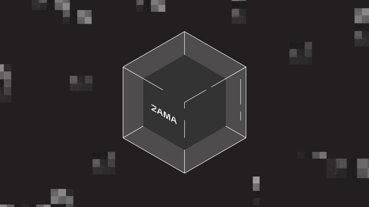 Zama homomorphic encryption confidential DAO voting