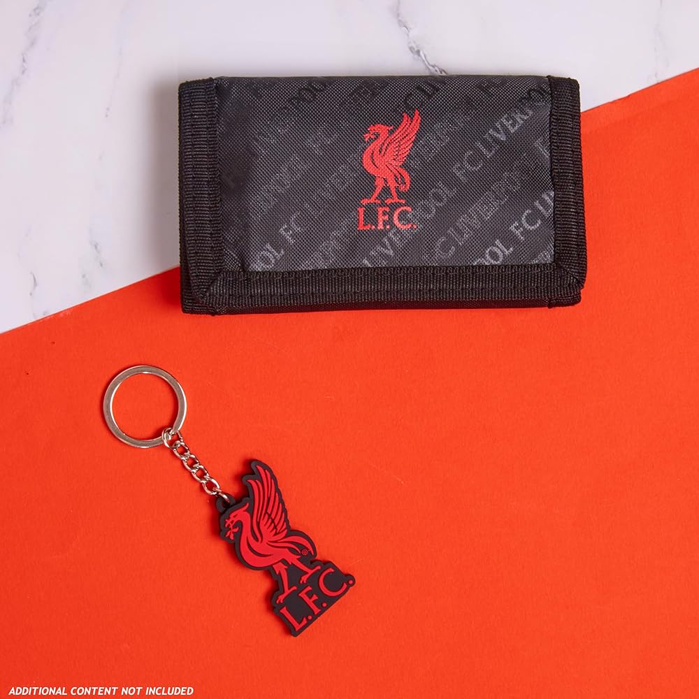 Liverpool FC Fan Token LFC Socios logo