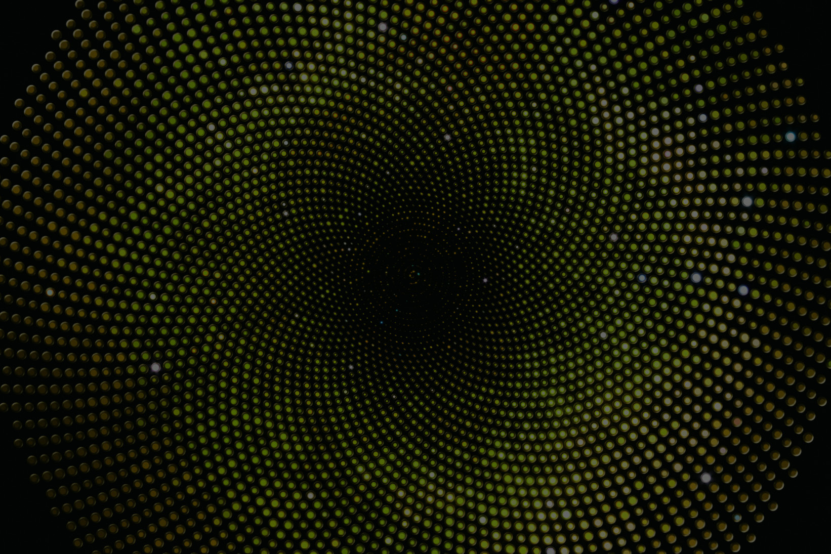 BaseLend lending platform Base blockchain