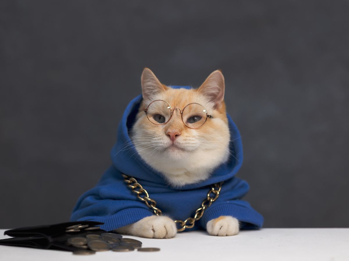 Toshi TOSHI Base memecoin cat logo