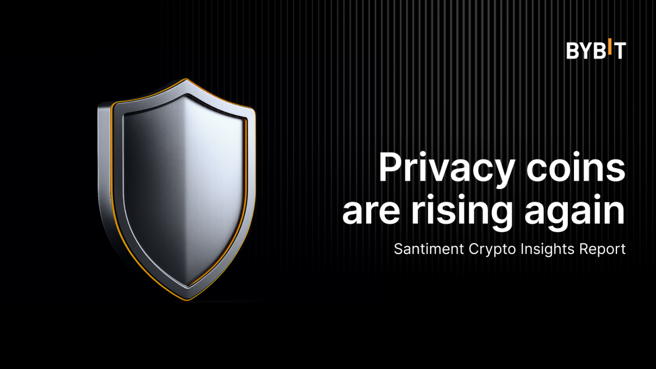 privacy lock blockchain shield