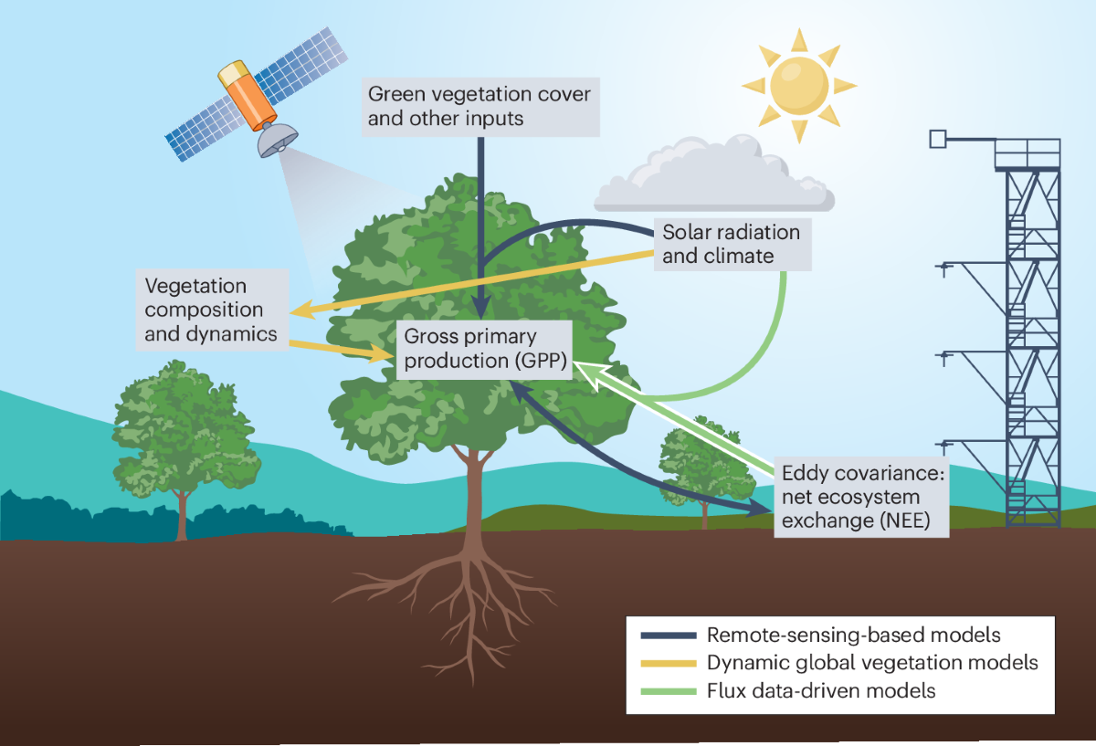 regulatory transfer limits graphic