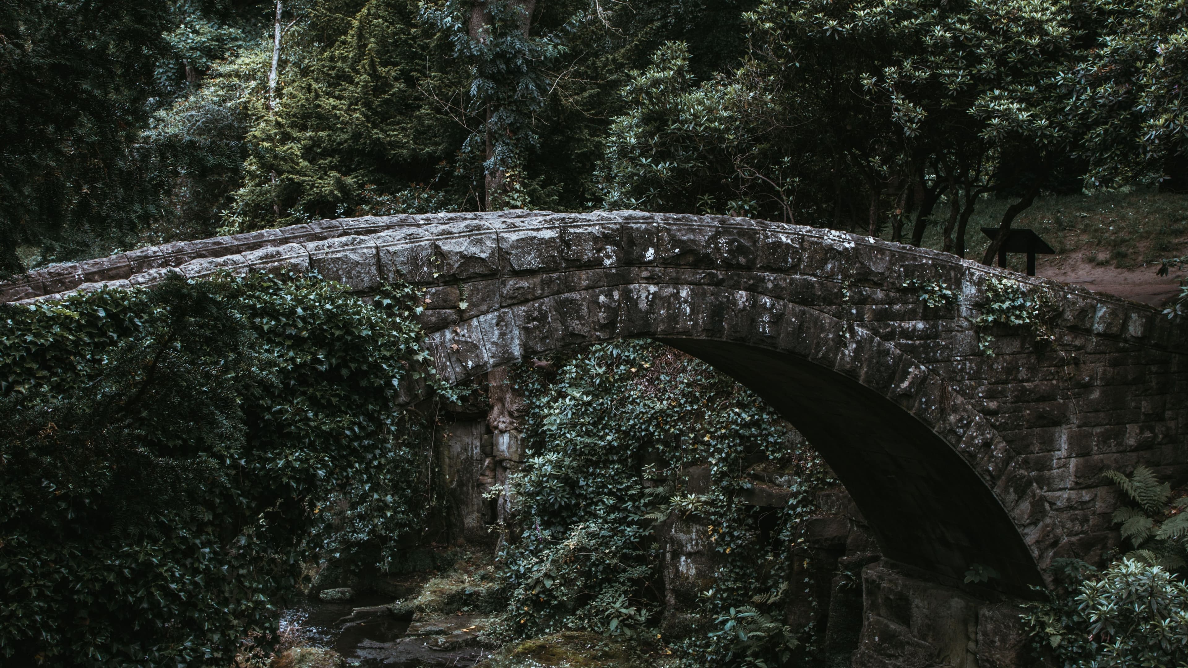 Bitcoin zk rollup cross-chain bridge development