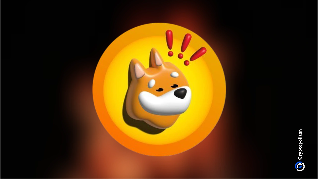 LetsBONK.fun revenue data