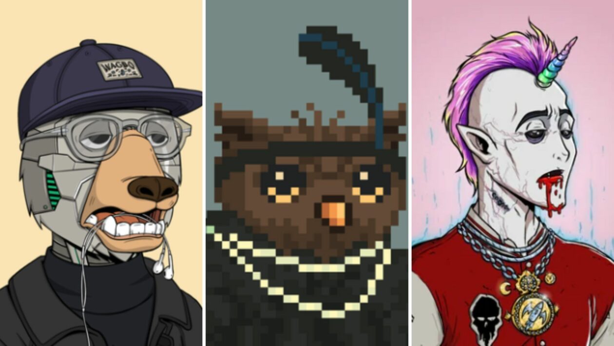 Solana NFT dynamic royalties