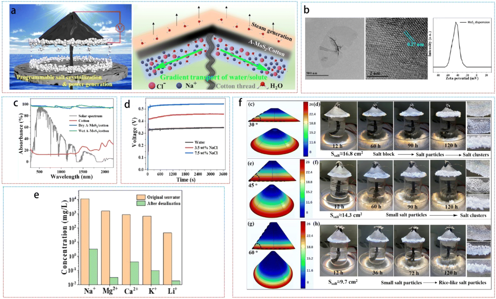 DSperse framework parallel zk processing illustration