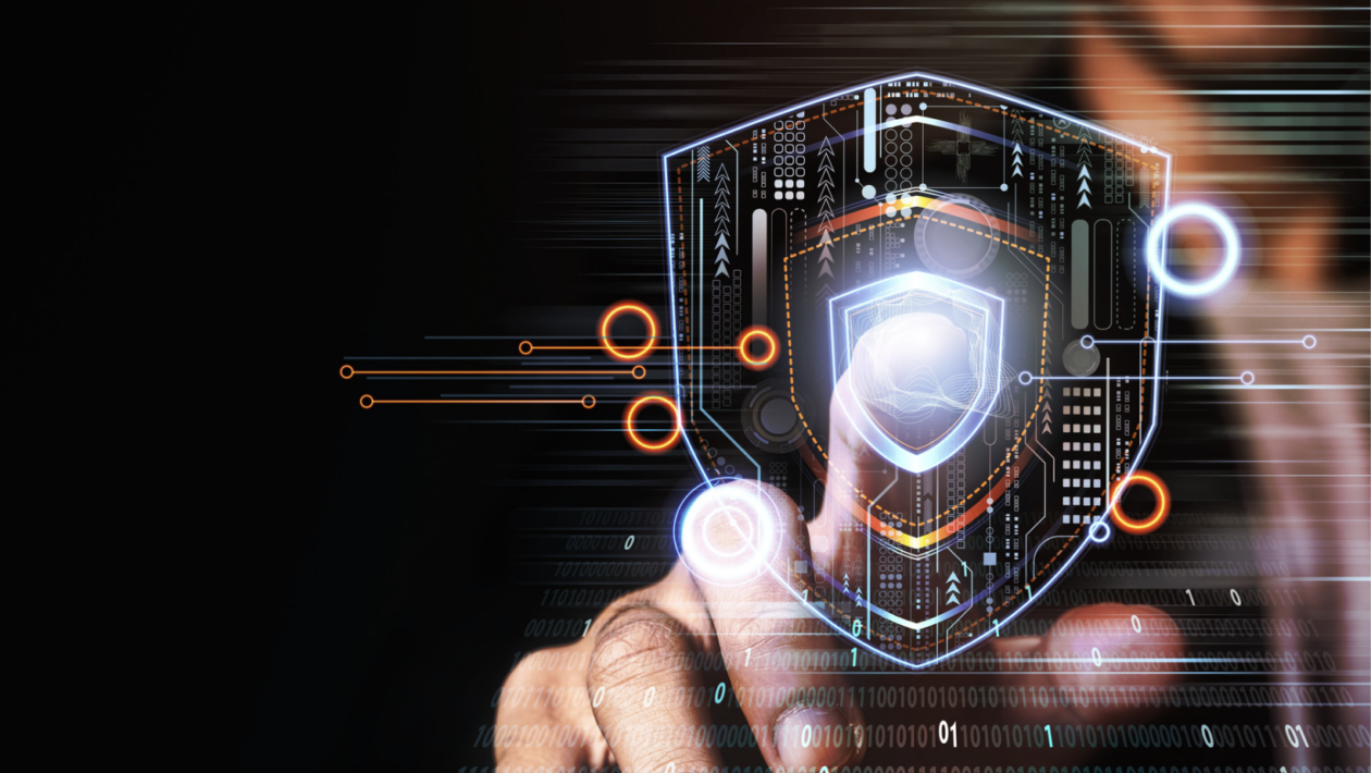 privacy transparency decentralized identity