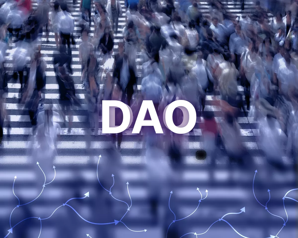 DAO legal compliance guidelines