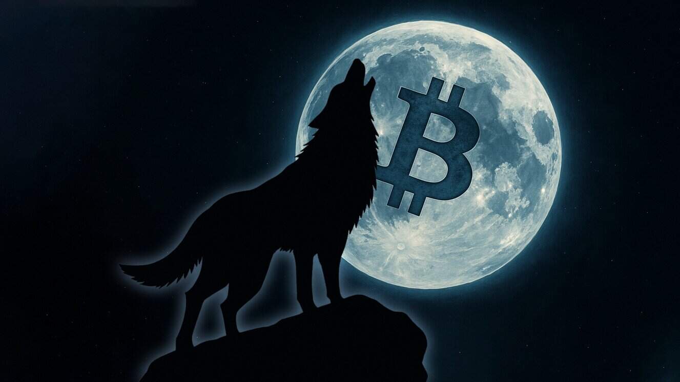 Wolf of Trading Telegram group crypto signals