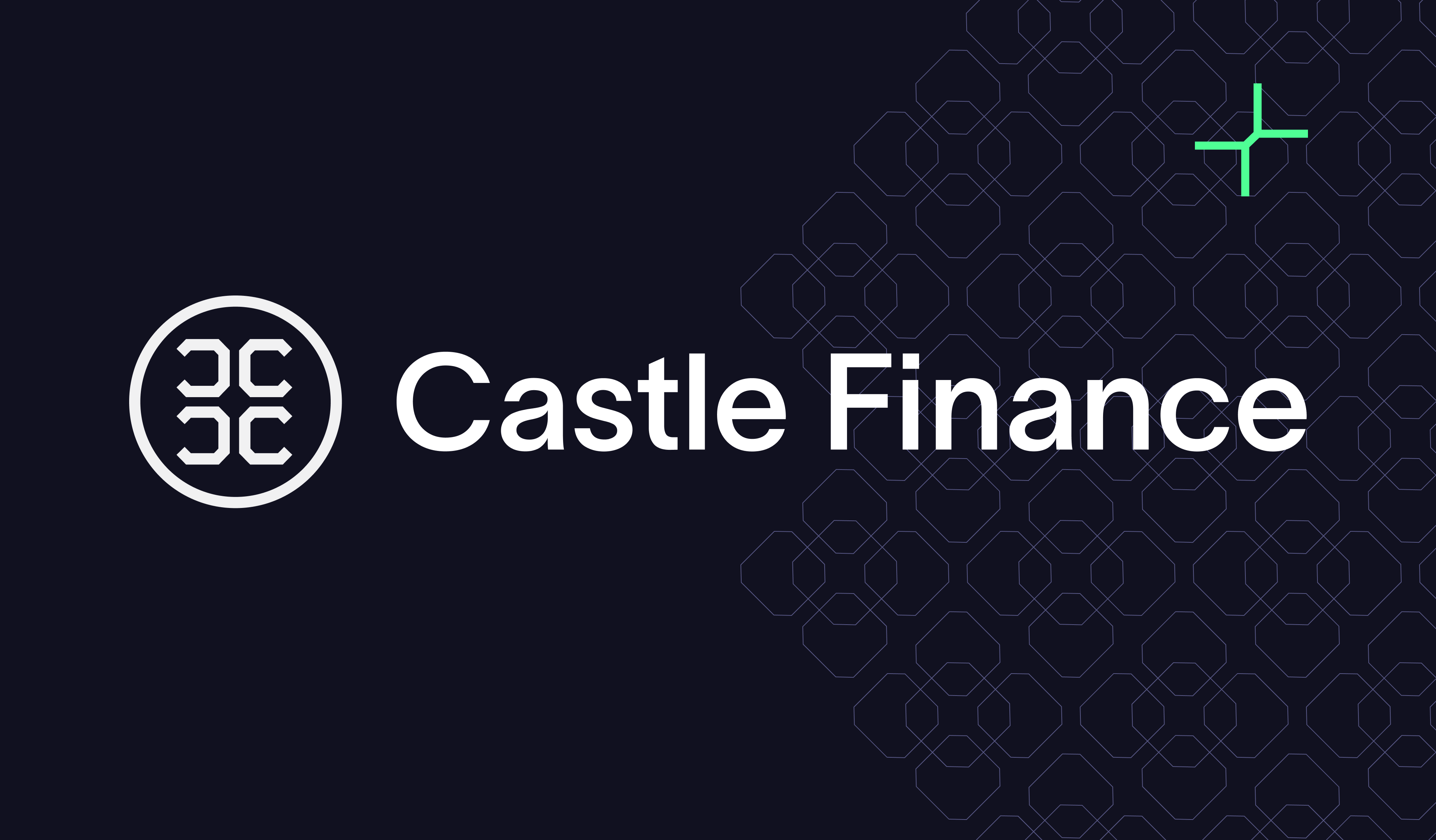 Castle Finance DAO risk management vault