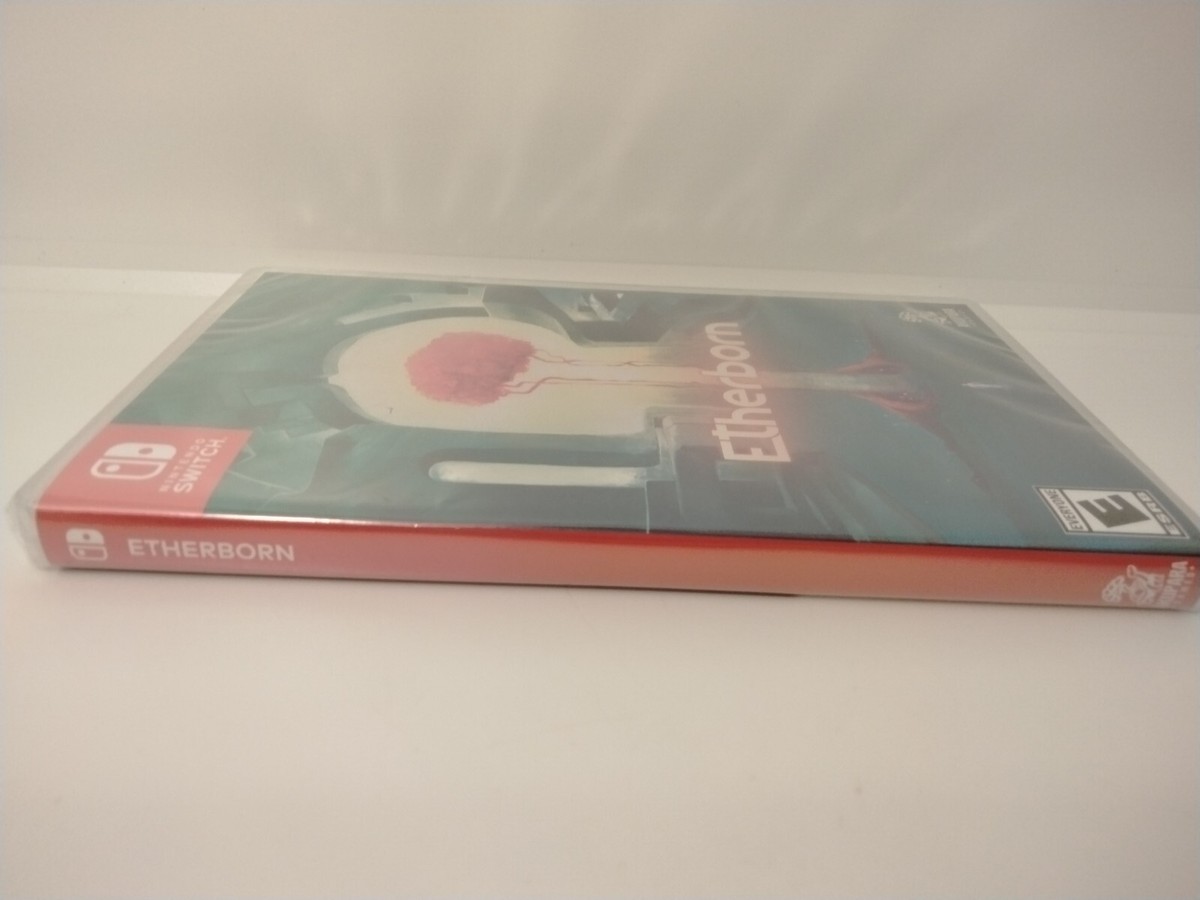 Etherborn Legends fantasy game cover