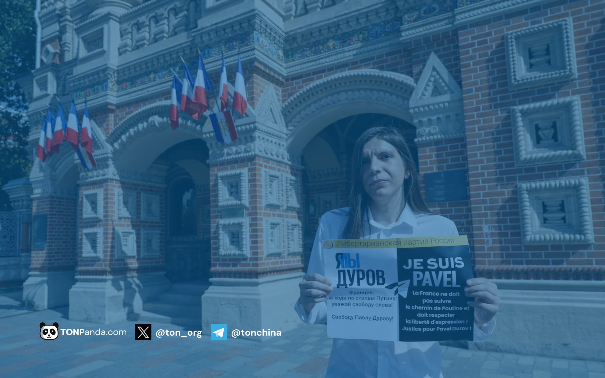 TonPanda TON Telegram Mini App template image