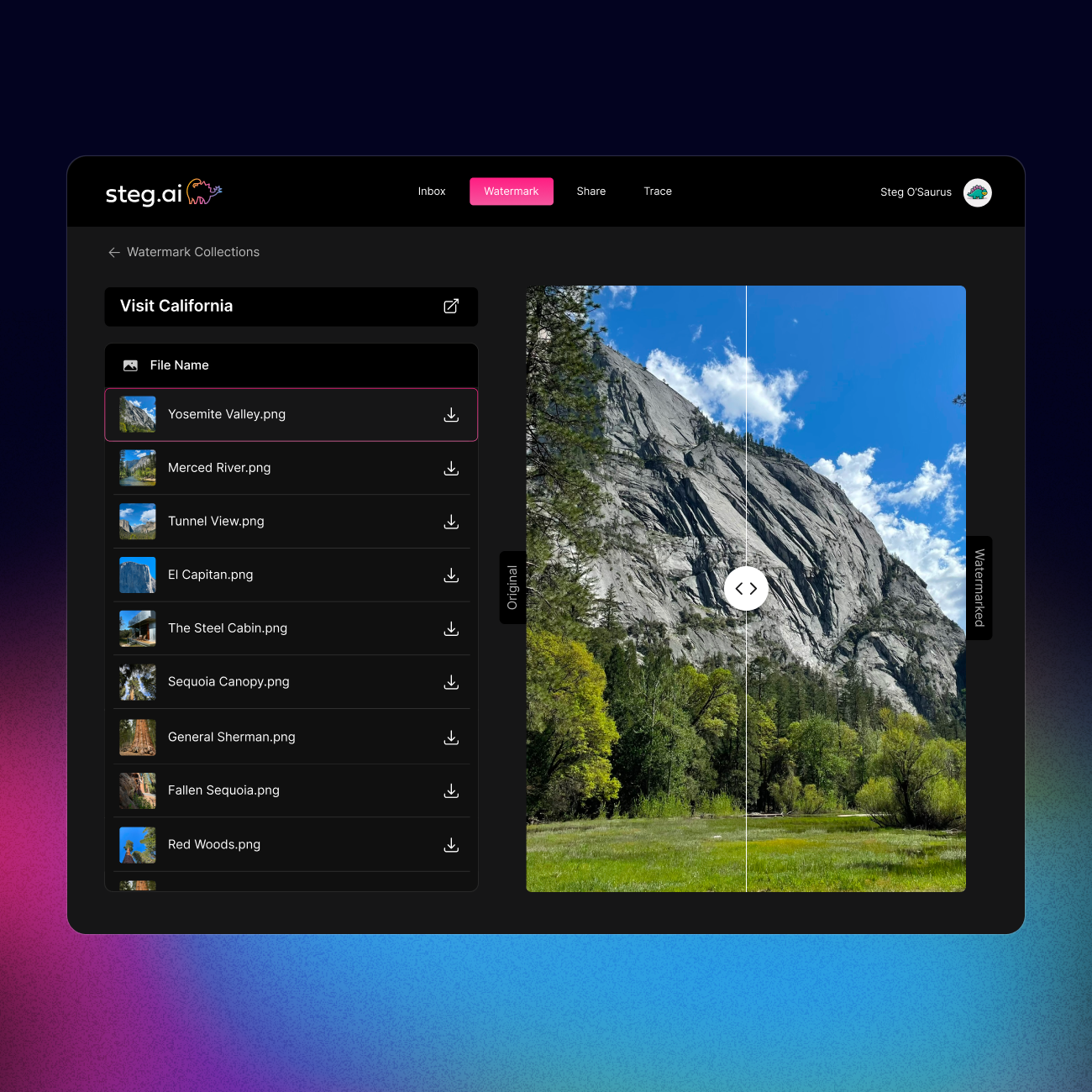tamper-evident watermark deepfake