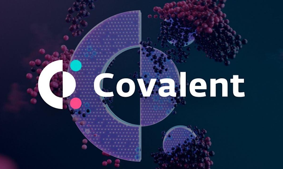 Covalent GoldRush API multichain data visualization
