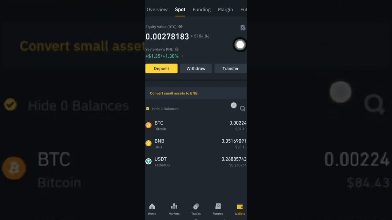 crypto wallet balance verification