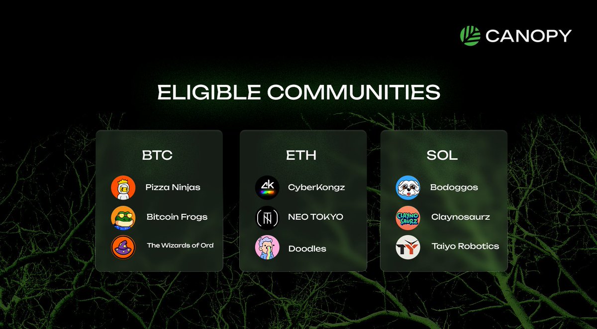 zkVerify 17 million proofs milestone