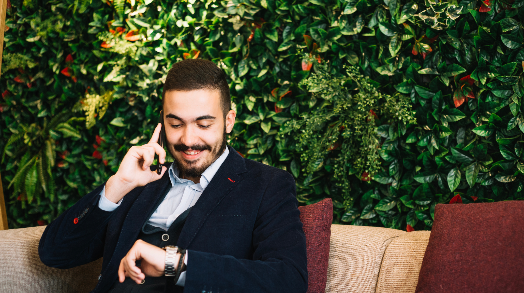 zkVerify daily proofs dashboard CallScan